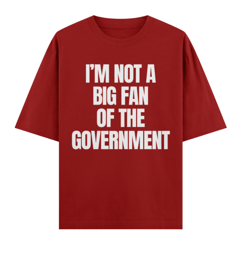 IM NOT A BIG FAN OF GOVERNMENT
